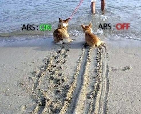 como funciona o freio abs dois cachorrinhos deixam um rastro na areia quando são arrastados para o mar um vai pisando e outro deslisa