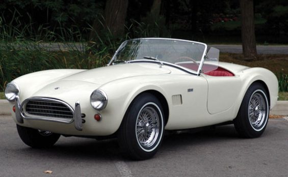 tim Shelby Cobra 289