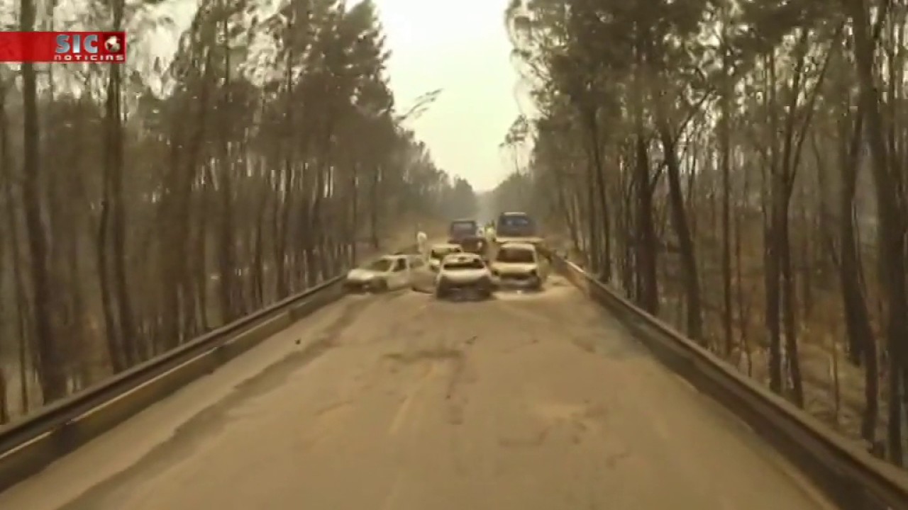 Incêndio Pedrógão - Portugal