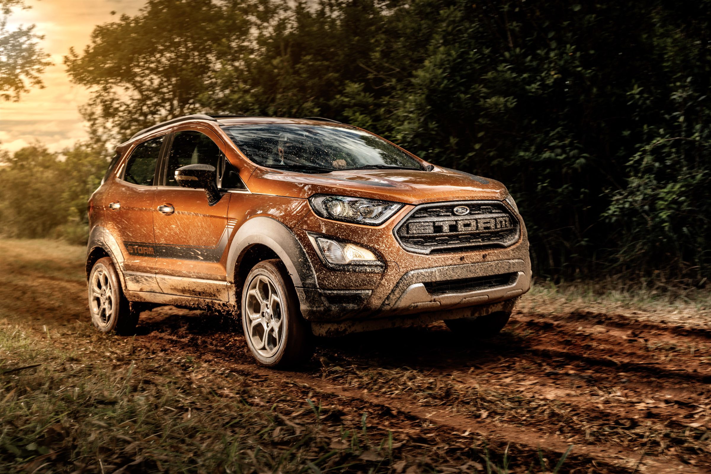 ecosportstorm 1