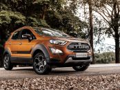 ecosportstorm 12