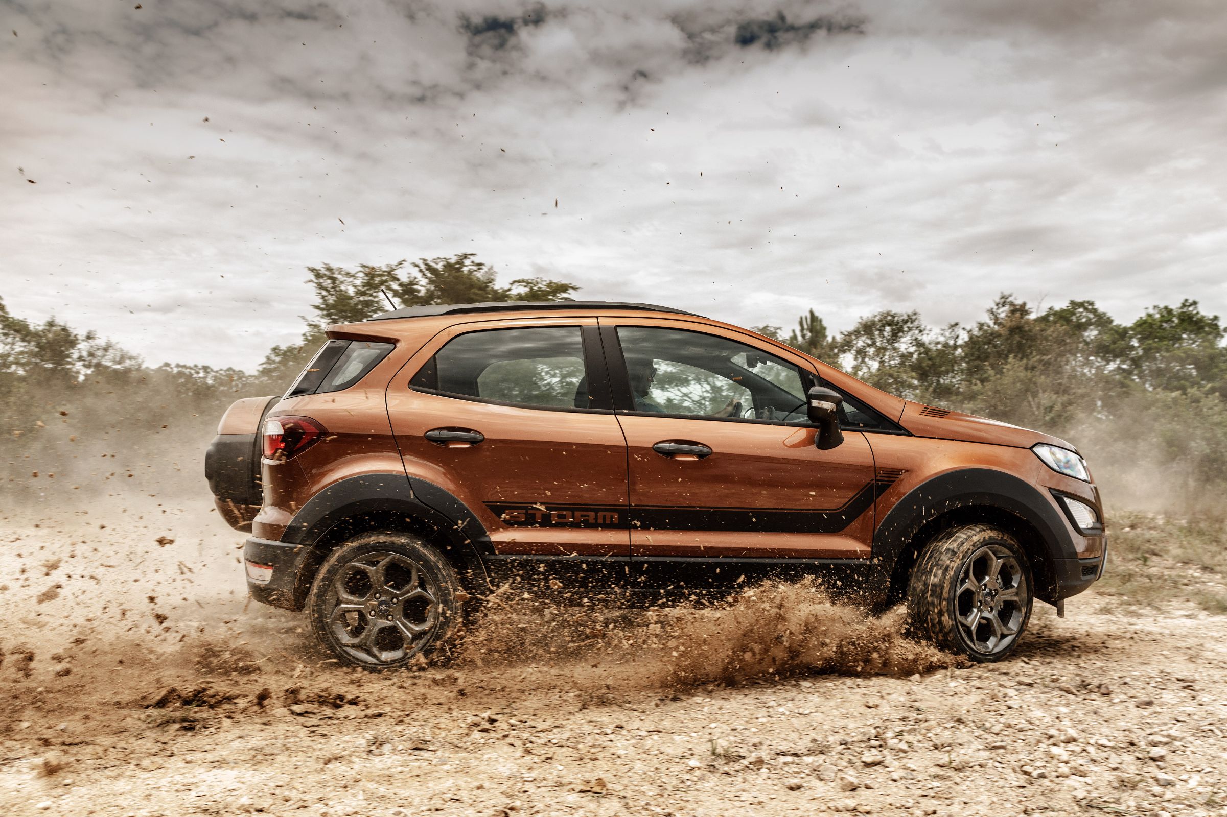 ecosportstorm 20