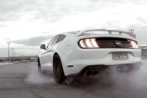 mustang2