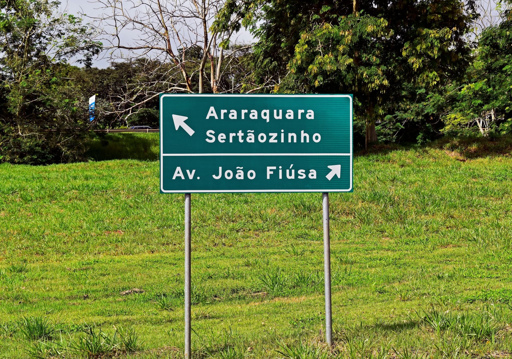 placa de trasnito de orientação verde