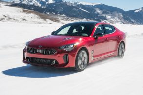13597 2018 stinger