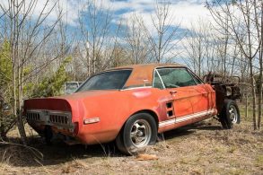 mustang little red