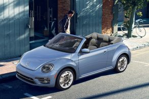 beetle