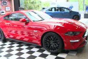 mustang