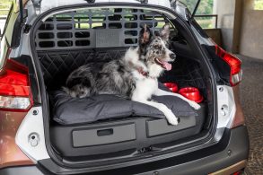 nissan kicks for pets 32