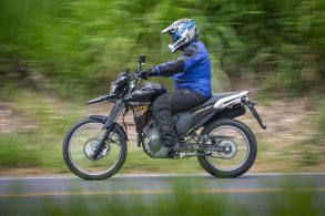 novalander2019 gustavoepifanio01765