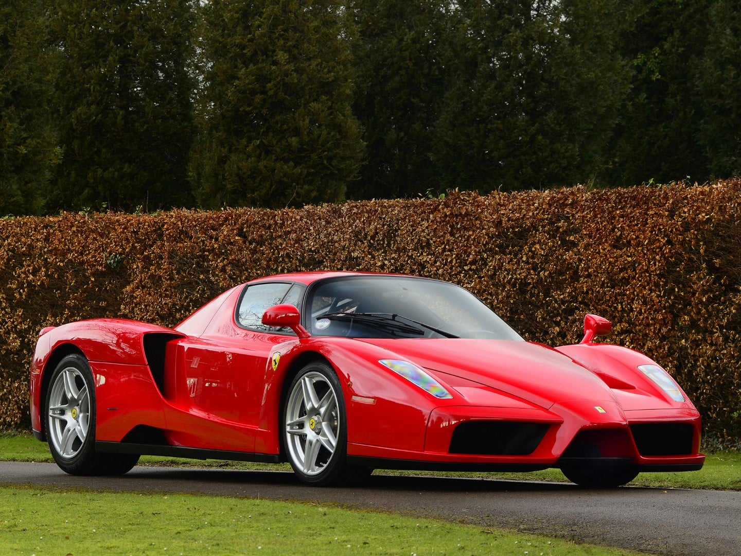 ferrari enzo 6 ferrari enzo 6