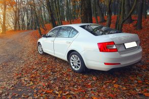 carro pega fogo folhas