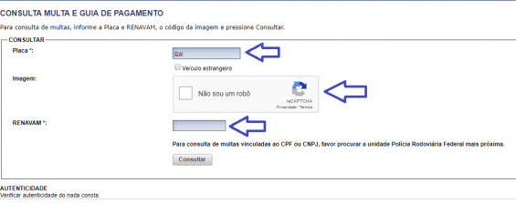 Consultar Multas Pela Placa E Renavam Do Veículo: Como Fazer