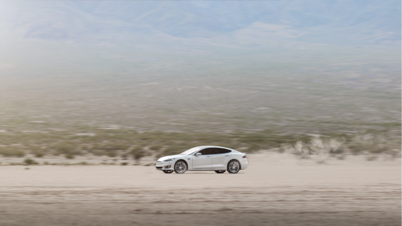 tesla model s white ms dust arachnids