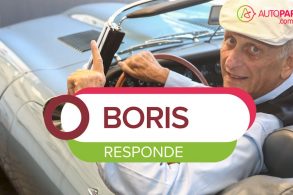 boris responde