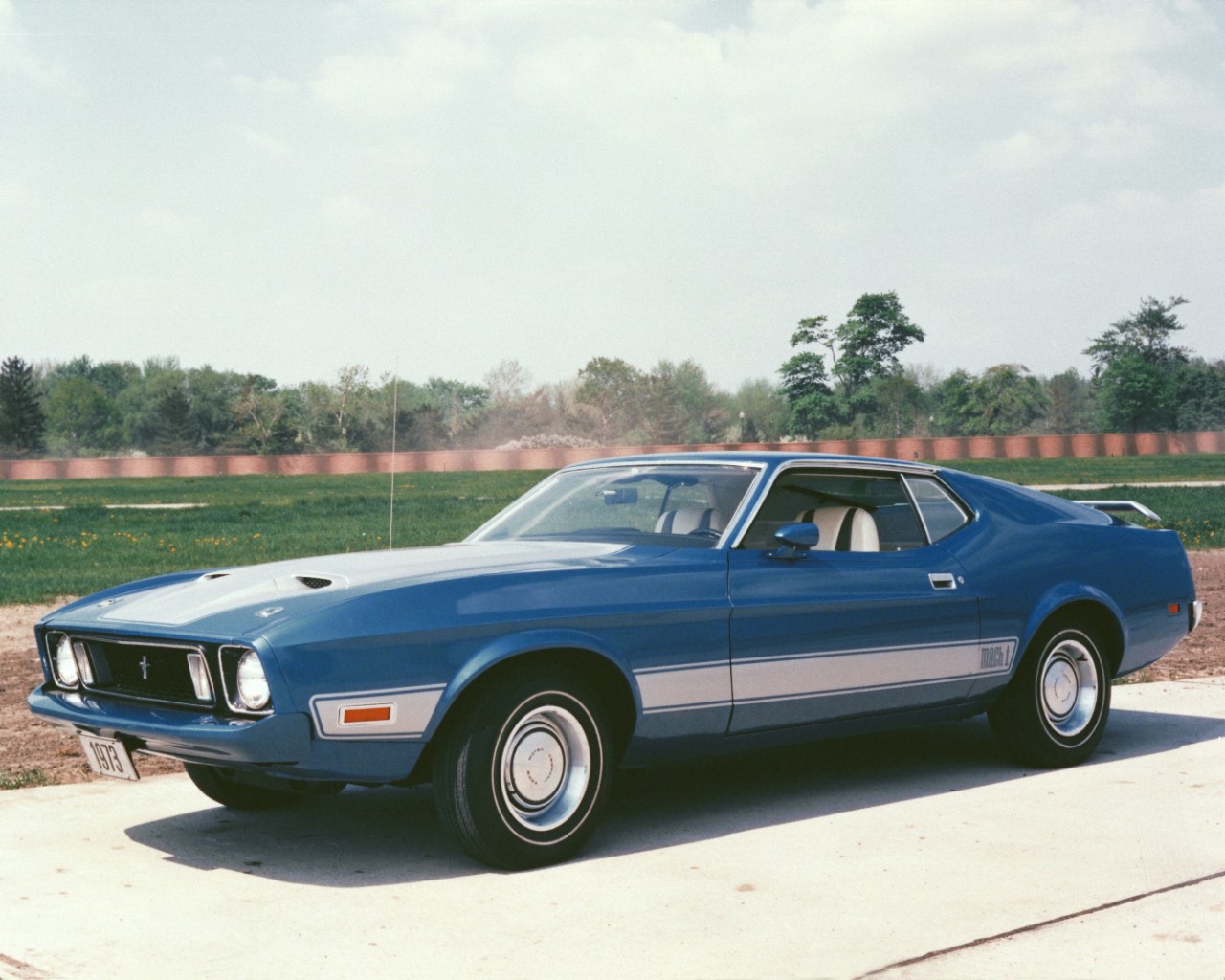 mustang mach 1 1973 1