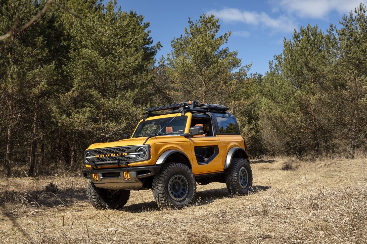 ford bronco 2 portas 2