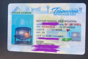 documento de habilitacao do tennessee com foto errada de cadeira