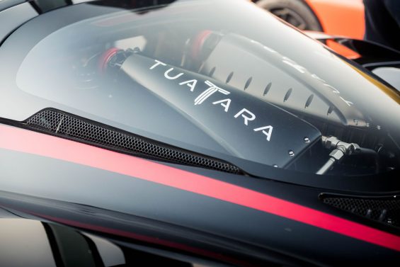 scc tuatara 10