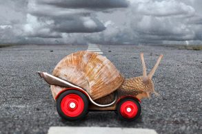 lesma em carro atravessando a rua