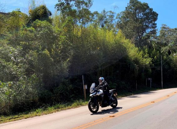 triumph tiger 900 gt pro 1 foto bruna bejjani