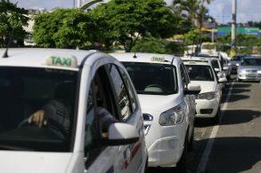 fila de carros brancos com placa de taxi em salvador bahia