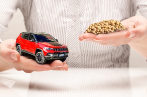 jeep escambo