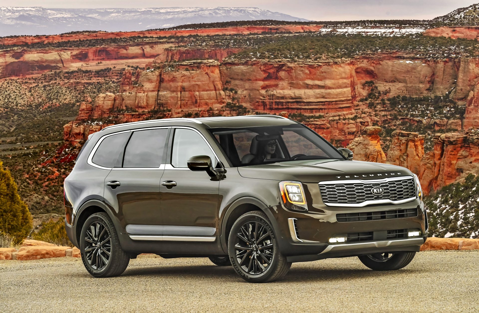 kia telluride frente