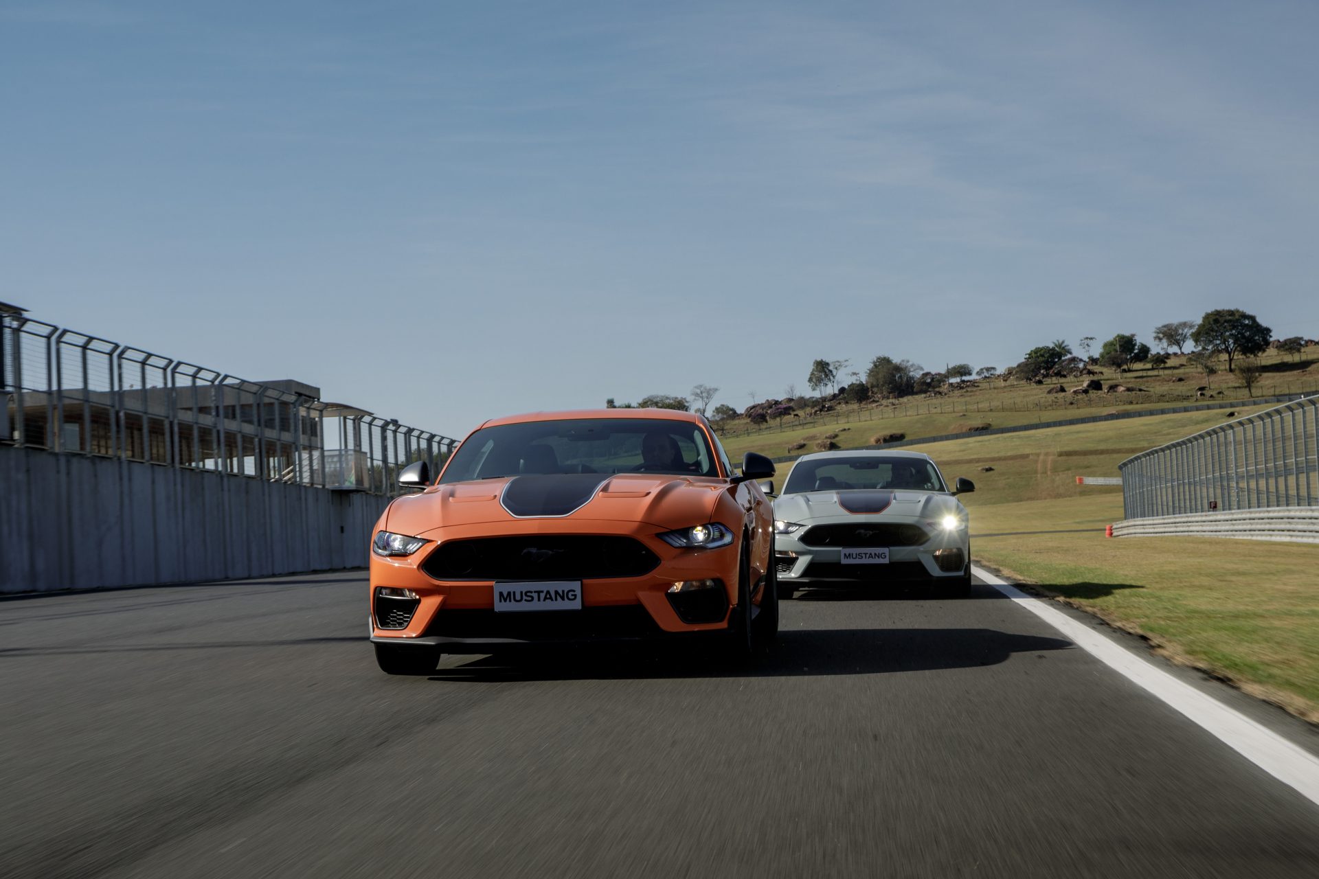 ford mustang mach1 de frente na pista 2333