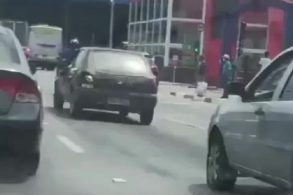 cachorro sendo usado como lanterna de veiculo