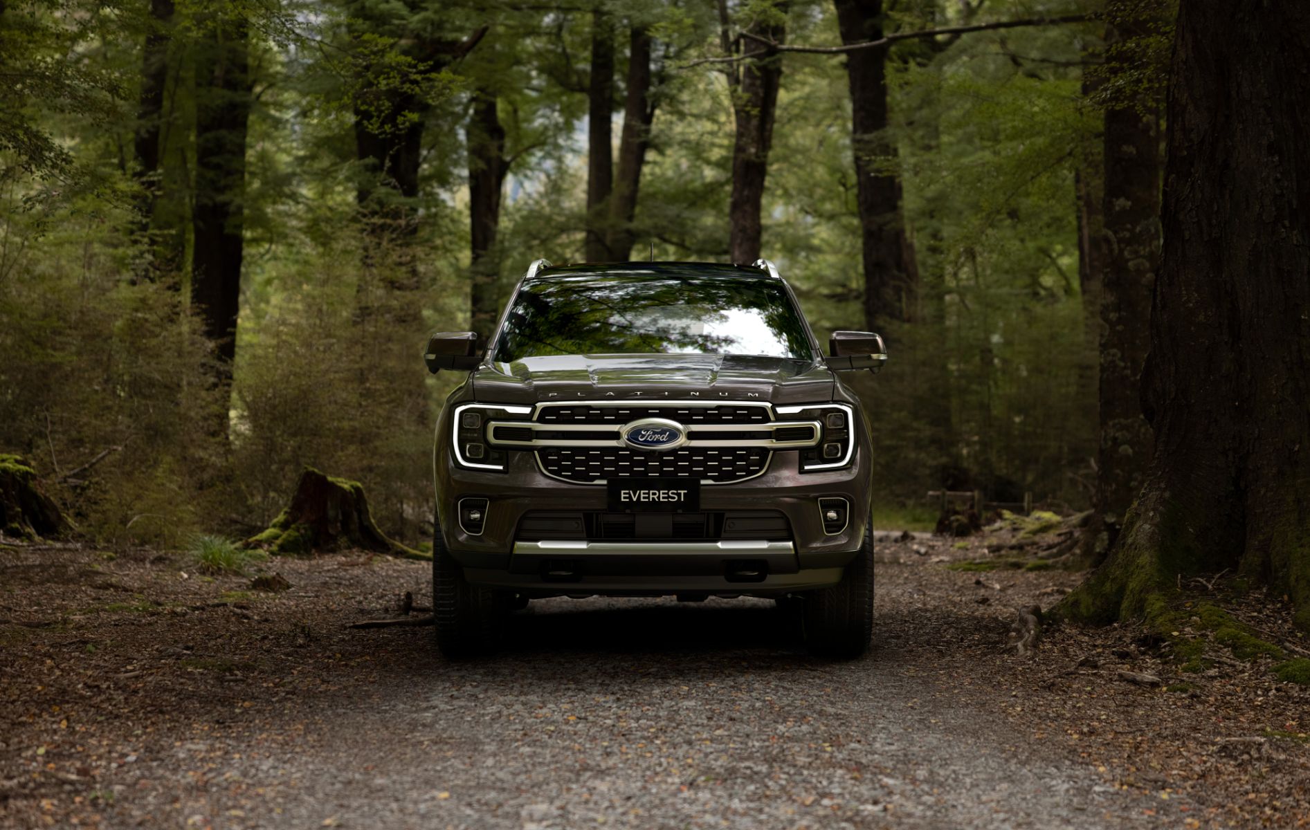 ford everest platinum cinza frente em uma floresta