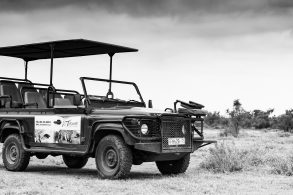 shutterstock land rover defender turistico safari