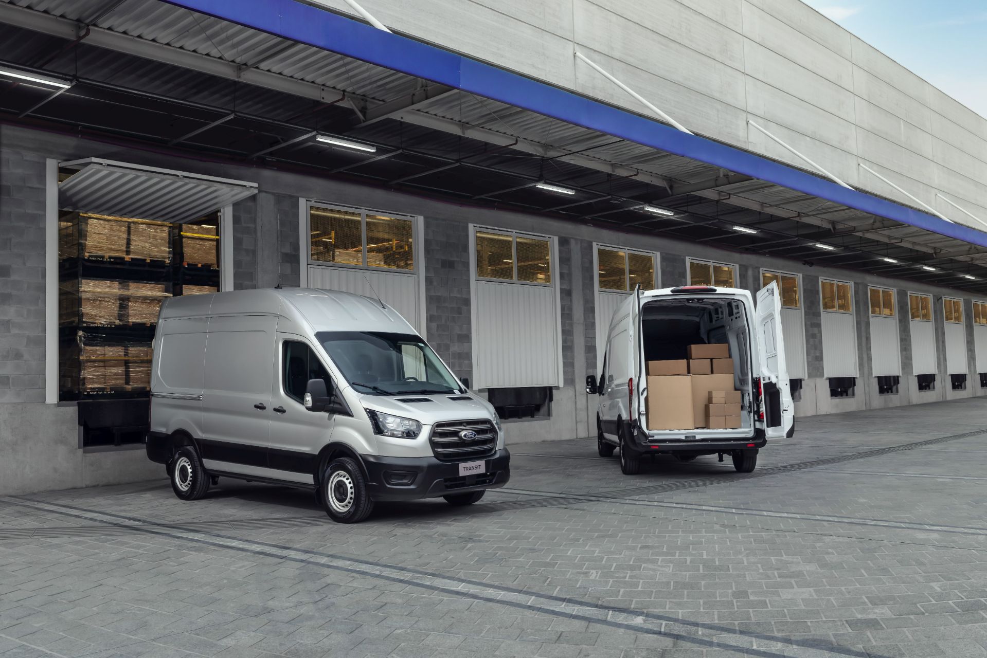 ford transit furgao 2