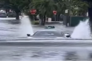 corvette chevrolet