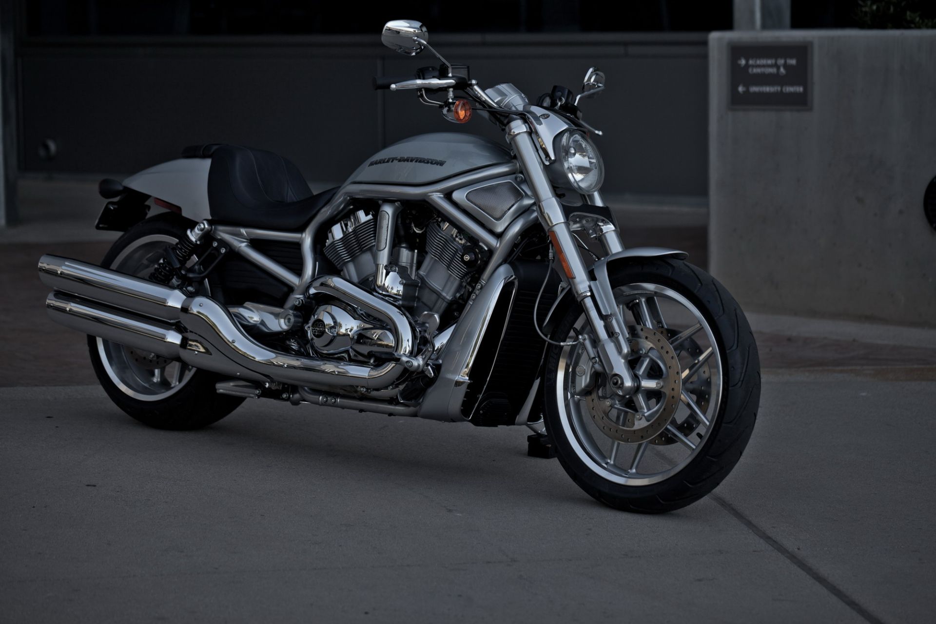 harley davidson vrscdx v rod 10th anniversary edition