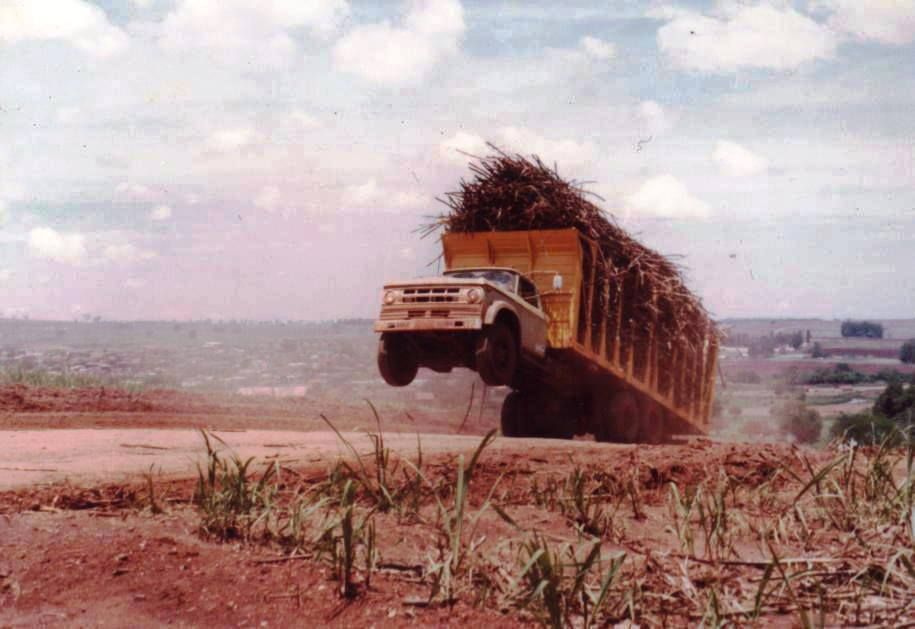 caminhao dodge a alcool trabalhando em canavial carregado e levantando as rodas dianteiras