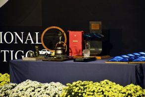 trofeus do brazil classcis kia show 2022