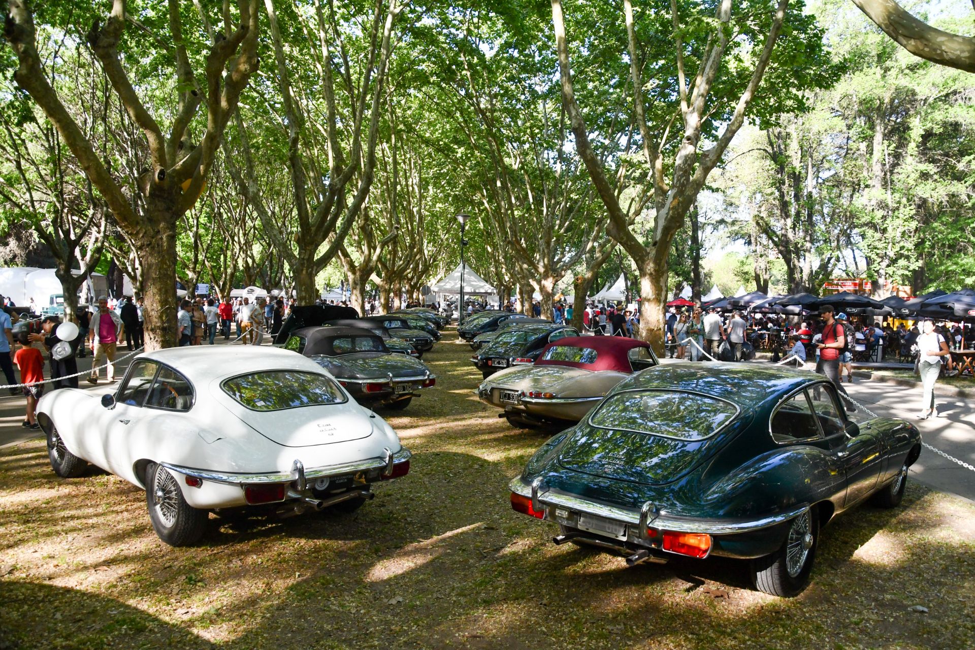 jaguar e type autoclasica argentina 2022