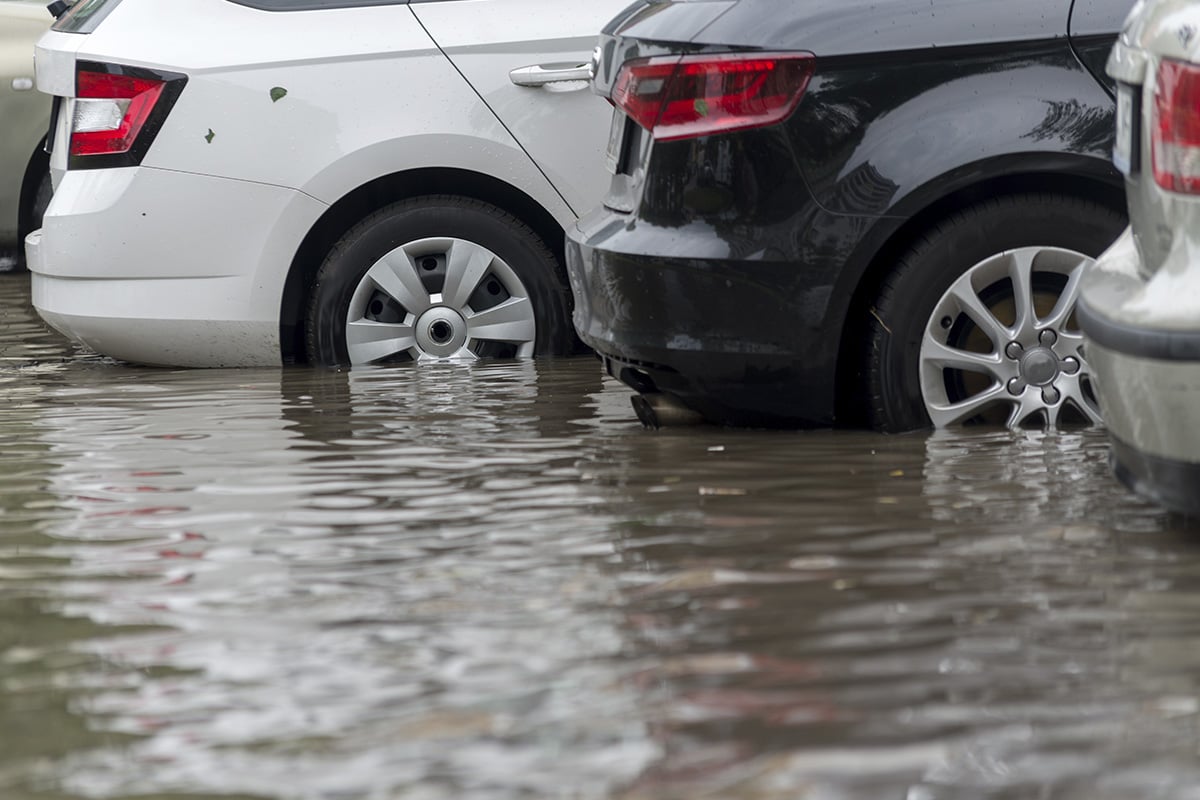 carros alagamento portal carros alagamento portal