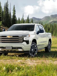 chevrolet silverado sera o carro da campea do bbb 23 5001