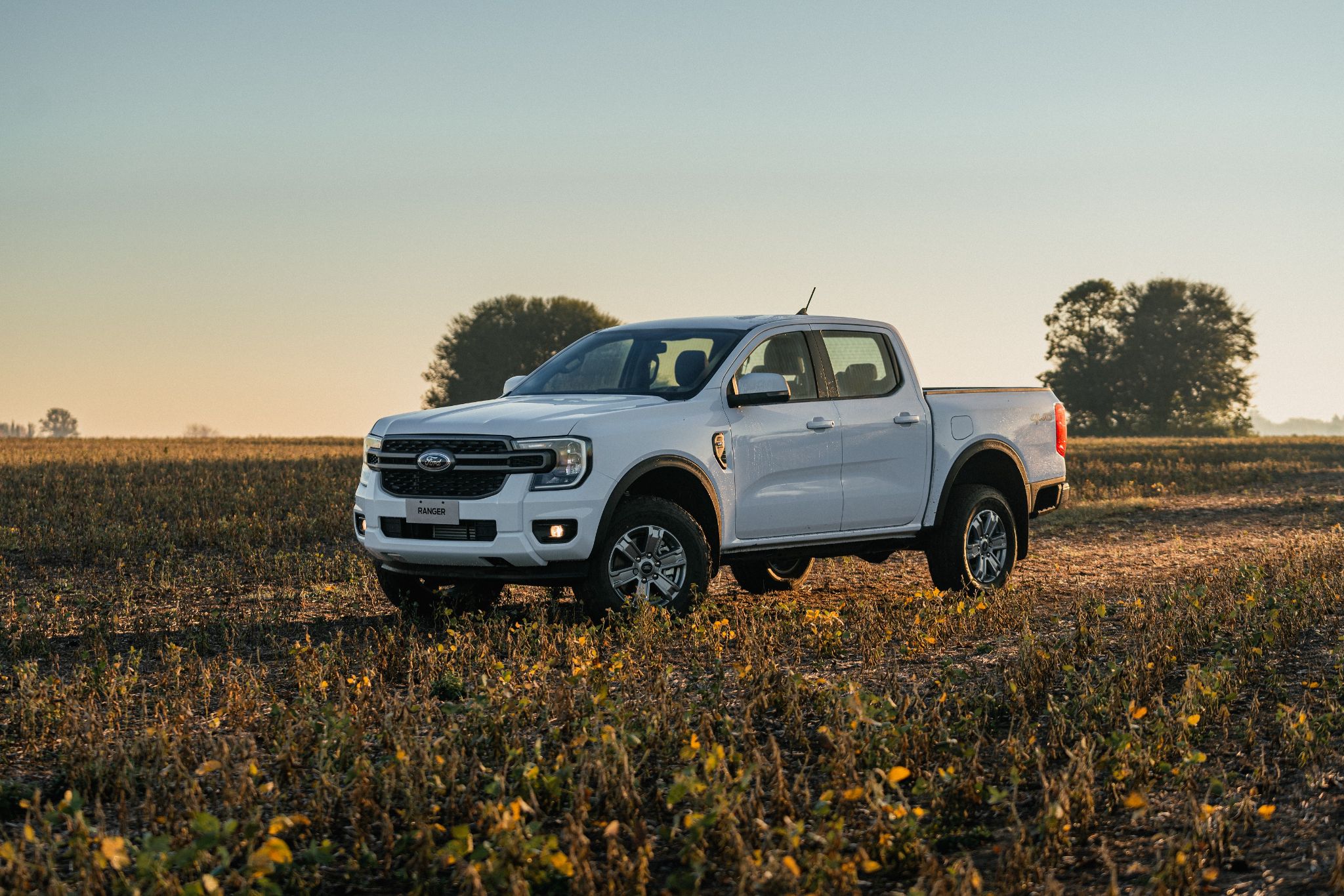 ford ranger xls 3 0 v6 2024 branco artico frente parada em campo