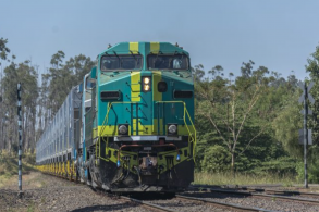 Trem passando em linha férrea