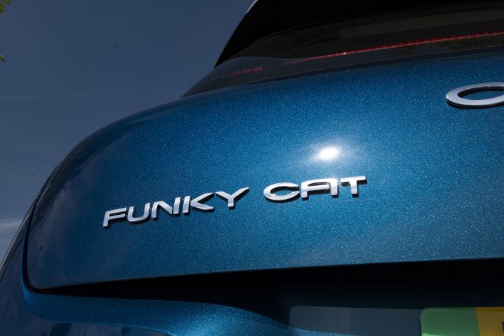 ora funky cat first edition detalhe emblema
