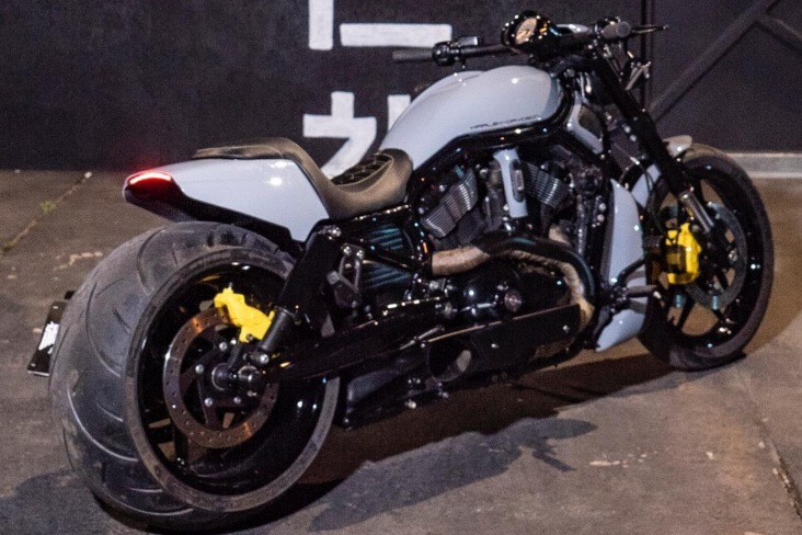 Harley-Davidson V-Road Muscle - Rodriguinho BBB24