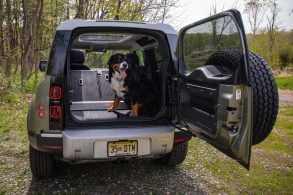 land rover defender 90 first edition porta malas aberto com cachorro dentro