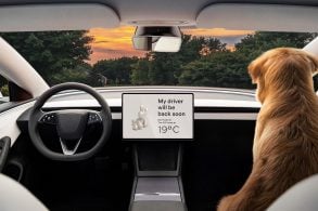 tesla model 3 interior painel cachorro dog mode