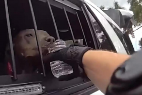 dog rescue police body camera 1