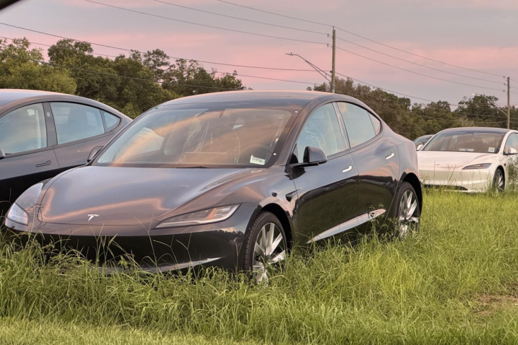 tesla model 3 encalhado na grama