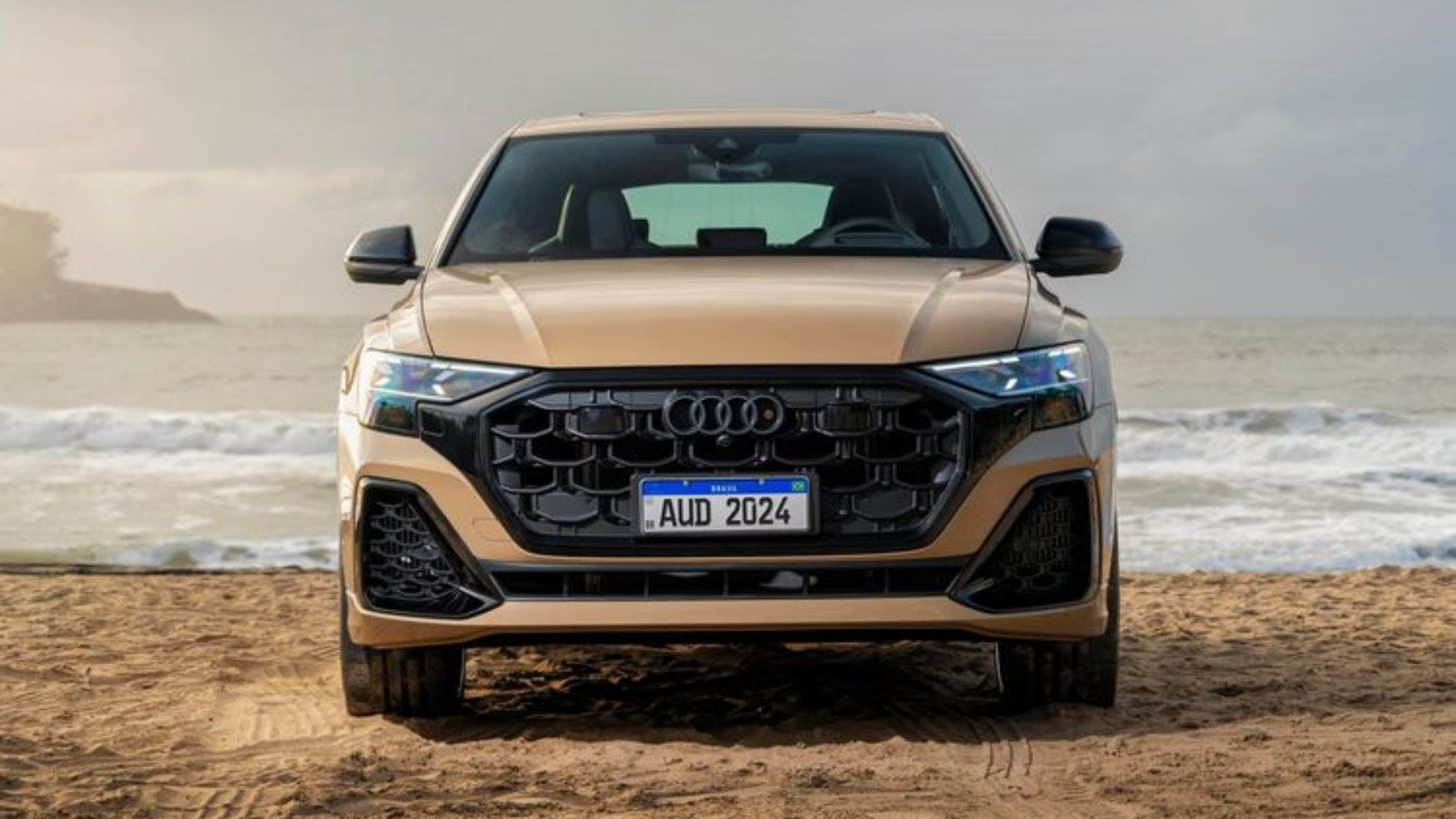 Audi Q8 (2)