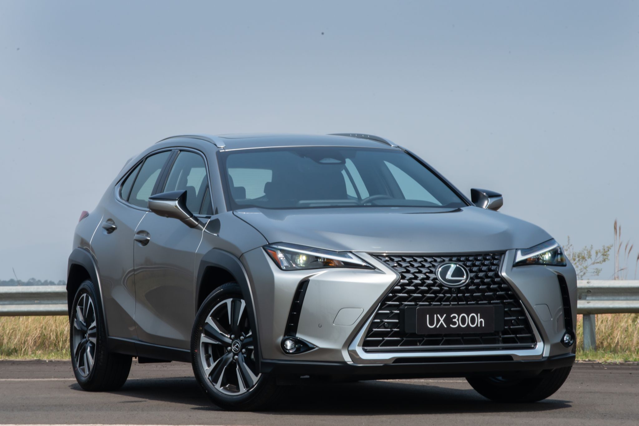 Lexus UX 300h prata estacionado em rua